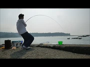 【 ニコニコ巨大魚釣りダービー 】 真夏の青物パワー対決！ ☆ 前編 ☆