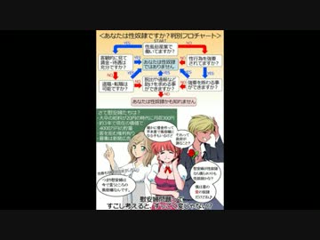 捏造慰安婦問題を糺す日本有志の会　作成リーフレット映像化