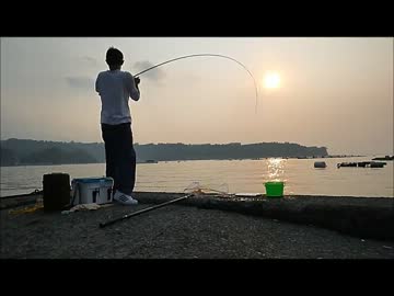 真夏の青物パワー対決！ ☆ 後編 ☆