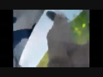 韓国人火病集　在日なめてんのかよぉwww