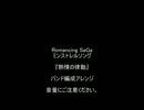 【音量注意】　ミンストレルソング　『熱情の律動』　を演奏