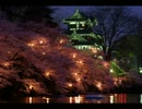 千本桜　【サックス】