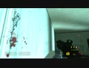 【HALF-LIFE2 －ハーフライフ２－】　先導実況　３４