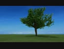 blender 風に揺れる木