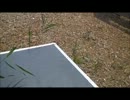 HEADSHOT定例会に参加しました①