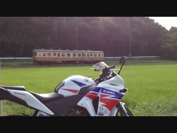 【MC41】CBR250Rと夏探し