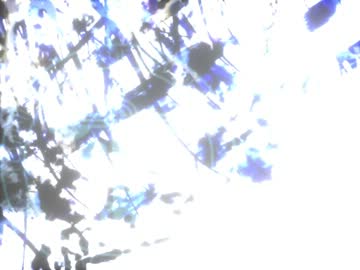 【人力ボカロ】コウガミさんでR_and_G