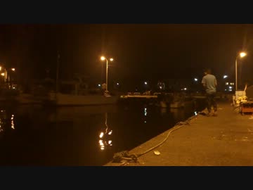 【魚釣り】お魚１００種　釣れるかな？【実況】 part 18