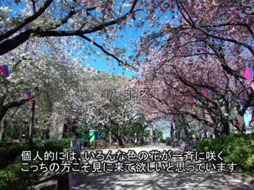 東京23区サイクリングPart.番外編