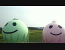 新潟を空撮､新発田ｶﾞｽのﾆｺﾀﾝ&ﾓﾓﾀﾝがとってもKAWAII件!!