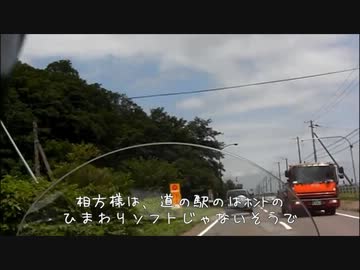 ひまわり祭りに行ってきた