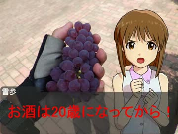 雪歩と東京へ自転車旅行Part3(笹子峠編)