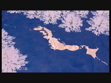 【第11回MMD杯本選】2013年桜前線まとめ