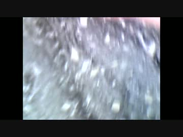 毛穴スッキリパックを剥がすのをUSBマイクロスコープで撮ってみたその2