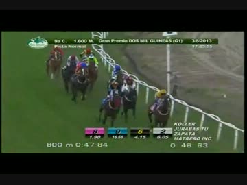 【世界の競馬場から】2013年アルゼンチン2000ギニー　サパタ