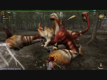 【MHF-G】会長がPS3ユーザーの為にHC剛ゴゴモアを攻略実況