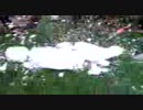 さらば雪だるま