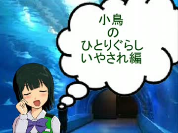 小鳥のひとりぐらし  その８