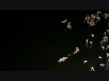 2013 第35回 世田谷区たまがわ花火大会 + FreeTEMPO - Stars &amp; Moon