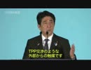 安倍晋三「必要なのは規制の大胆な改革,TPP交渉のような外部からの触媒｣