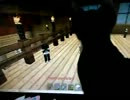 生後13週間-5　完全に一致？黒猫比較動画