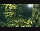俺の彼女はゾンビ　Resident Evil part13