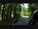 【酷道】ちゃっかりシェルパで国道４２５号線を走ってみた№6