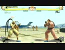 2013.8/17 フリーダム横浜スパ４AE紅白戦partラスト