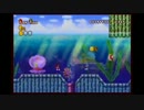 寝る間も惜しんで　NEWスーパーマリオブラザーズWii【実況？】part2