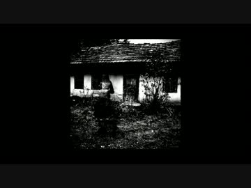 NNI peakedyellow - 写真のあの娘