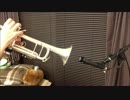 【少女病】運命旋律の共鳴する丘_TrumpetCover【吹いてみた】