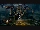 【死んだら録画終了】ダークソウルを実況プレイ #11