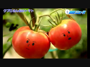 [トモコレ新生活] 気ままに撮影したスナップ集 13