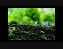 rain stops,good-bye を歌わせて頂きました/ほわた