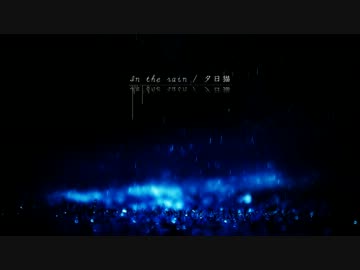 In the rain/夕日猫