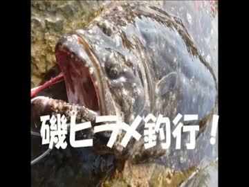 磯ヒラメ釣行！