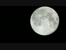 Blue moon 130821