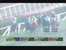 【世界の競馬場から】2013年クリアドレスドラマ賞　サンビタンバ