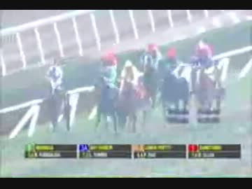 【世界の競馬場から】2013年クリアドレスドラマ賞　サンビタンバ