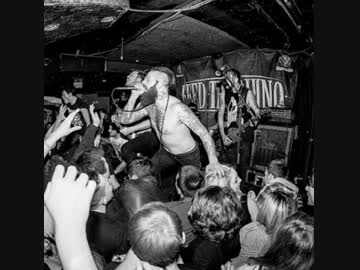Feed The Rhino - Behind The Pride -Audio-