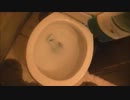 頭垢取りシャンプーをトイレに流してみた