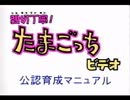 なつかしゲーム攻略ビデオ～たまごっち編～