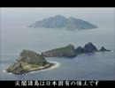 銀翼光る（空自）