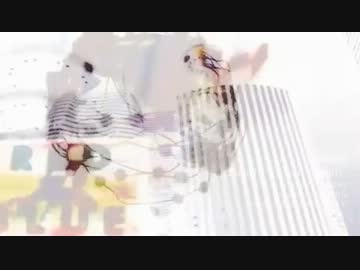 【東方ニコカラ】Lies in Reality【on vocal】.