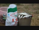 支那　川に大量の魚の死骸、それにバケツを持って群がる市民