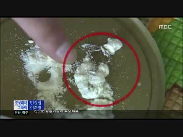 韓国の粉ミルクからカエルの死骸