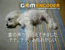 ナナさようなら　愛犬との永遠の別れ