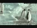 大量のGIFアニメに無理矢理ドラゴンボールの効果音を付けた