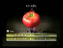 【ピクミン2】地球侵攻作戦開始【実況プレイ】part11