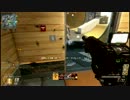 【CoD:BO2】 同志、珍銃でいこうか 実況プレイ９【スケスケ蠍】